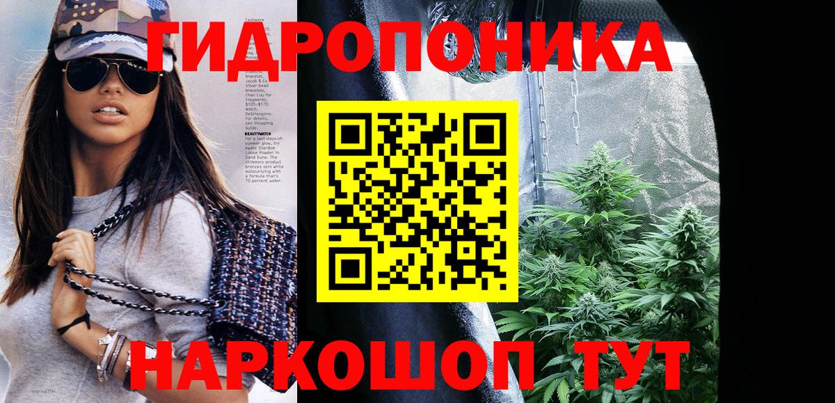 Бошки Шишки Bruce Banner Петрозаводск